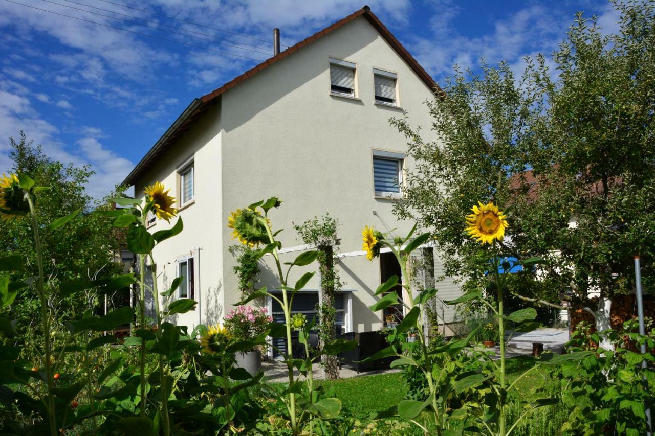 Ferienwohnung - Damisa House Мецинген Екстериор снимка